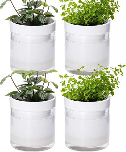 Miniatura 19 de Maceta Phoenix Vine de 6 Pulgadas con Riego Automático, Maceta de Arcilla Terracota con Reservario de Vidrio para Plantas de Interior, Hierbas