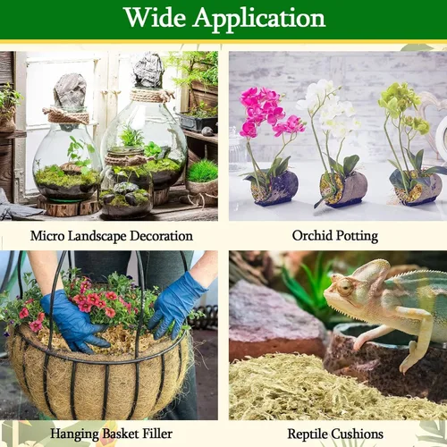 Miniatura 6 de Legigo 100 g de musgo natural esfagno para plantas, mezcla para macetas de orquídea de fibra larga 4QT, musgo esfagno seco para plantas