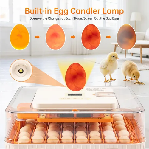 Miniatura 4 de Incubadora de 56 huevos para incubar huevos, girador automático inteligente y control de humedad, vista de 360°, vela incorporada Kit de eclosión