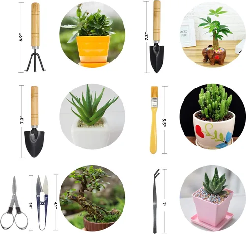 Miniatura 3 de Mini juego de herramientas de jardinería, kit de suculentas, juego de herramientas para suculentas, Bonsai, jardinería, incluye podadora, tijeras