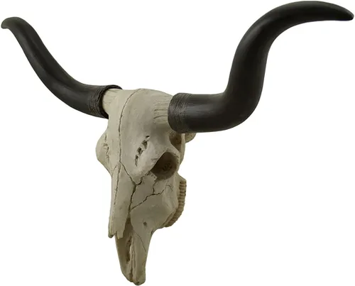 Miniatura 2 de Zeckos Escultura de pared de calavera de trofeo Longhorn de 20 pulgadas en negro y hueso, hecha a mano - Cabeza de buey falsa realista con detalles