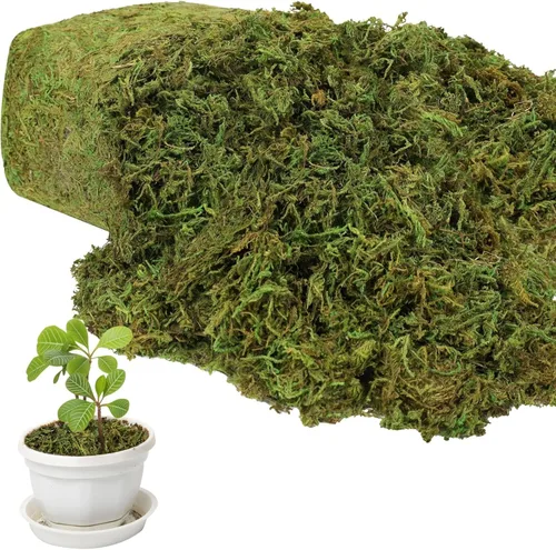 YUNVI Musgo Artificial de Gran Capacidad de 17.6 OZ para Plantas en Maceta, Hierba de Musgo Falso Natural para Plantas de Interior, Manualidades y