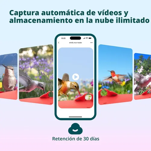 Miniatura 4 de Birdfy Alimentador de Colibríes con Cámara, Grabación Automática de Video de Aves, Notificación Instantánea, Vista en Vivo, Comederos Inteligentes