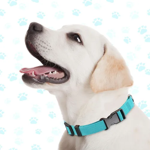 Miniatura 5 de 9 piezas de collar ajustable para perro, collar de nailon suave para mascotas con hebilla de liberación rápida a granel para perros, caminar