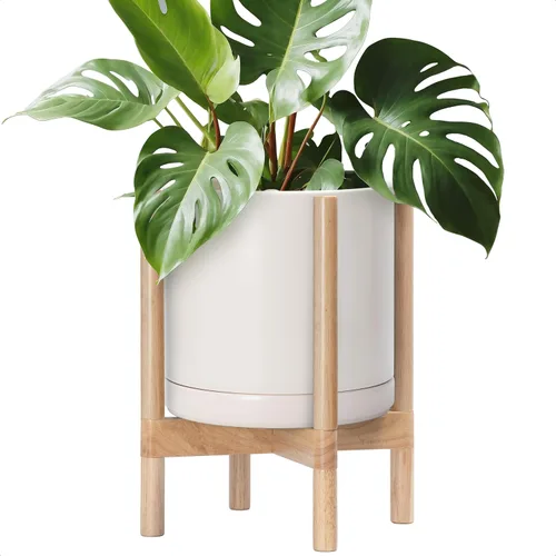 Miniatura 39 de D'vine Dev Maceta de cerámica con soporte de ébano – Maceta redonda moderna de 8 pulgadas con soporte para maceta de madera, color negro, 55-B-M-2