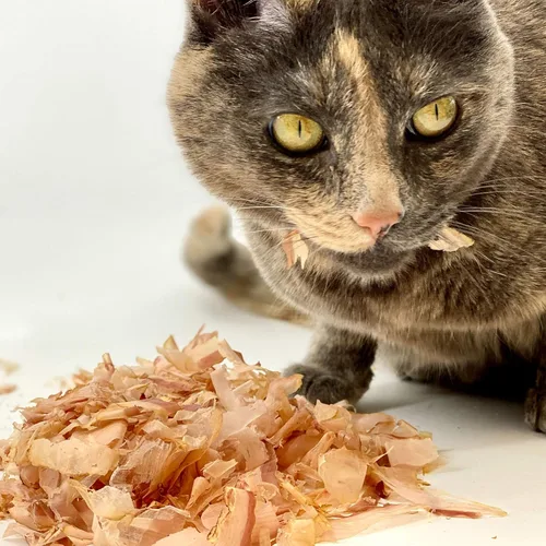 Miniatura 3 de Cat Sushi Copos de Bonito, Corte Clásico, Tamaño Económico, 4 onzas