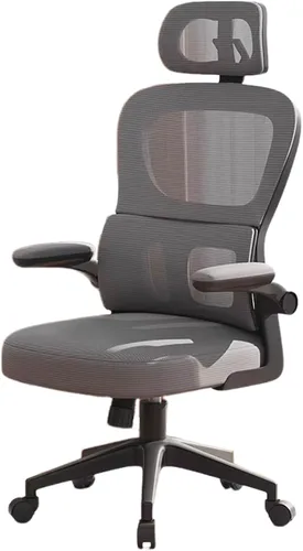 Ergonomic Swivel Gaming Chair High Back Mesh Computer Desk Office Chair with Flip-Up Armrests and Elastic Lumbar Support, Space-Saving Design for C