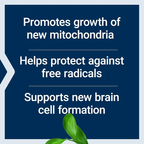Miniatura 4 de Life Extension Mitochondrial Basics with PQQ, L-Taurine, R-lipoic Acid, foundational Supplement for Cellular Energy Production, Brain and Heart