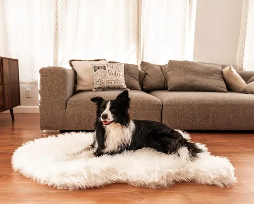 Miniatura 14 de PAW Brands PupRug - Cama ortopédica para perros grandes con piel sintética suave y esponjosa y espuma viscoelástica para aliviar el dolor