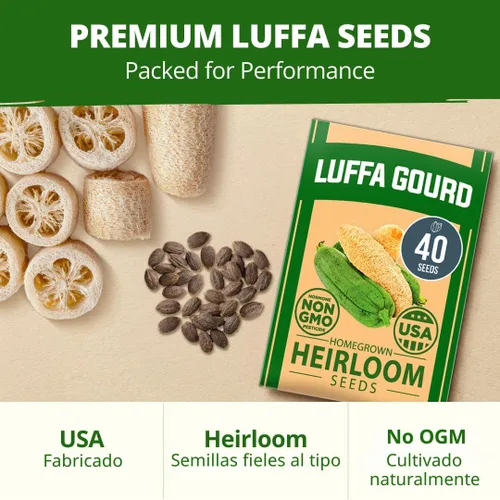 Miniatura 7 de HOME GROWN Luffa Seeds - 40 semillas de calabaza de lufa sin OMG para plantar, alta germinación, cultiva tus propias esponjas de baño naturales