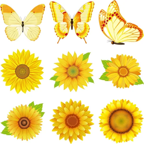 Zonon 45 recortes de girasol de verano para tablón de anuncios, mariposa, girasol, tablón de anuncios, decoración para escuela, oficina, hogar,