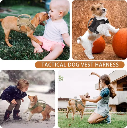 Miniatura 2 de Annchwool Arnés táctico para perros pequeños con asa, chaleco de servicio militar y correa para entrenamiento al aire libre, caminar, senderismo