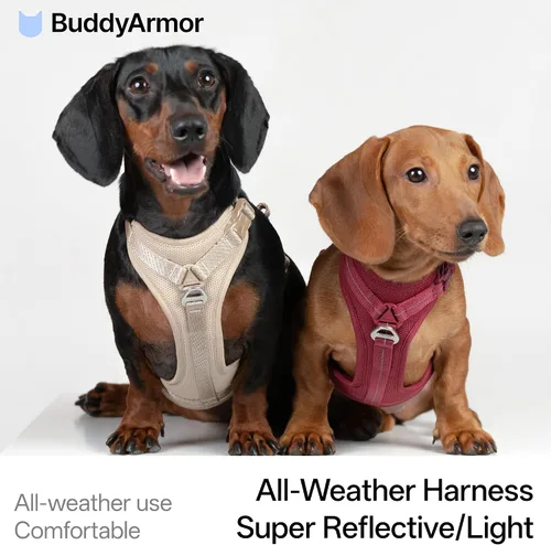 Miniatura 2 de Arnés reflectante para perro para todo tipo de clima, sin tirones, con código QR, antipérdida, ajustable, de liberación rápida, arnés acolchado