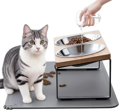 Cuencos elevados mejorados para gatos con alfombrilla para comida, soporte inclinado a 15° anti-vómito, cuencos elevados para gatos para comida y
