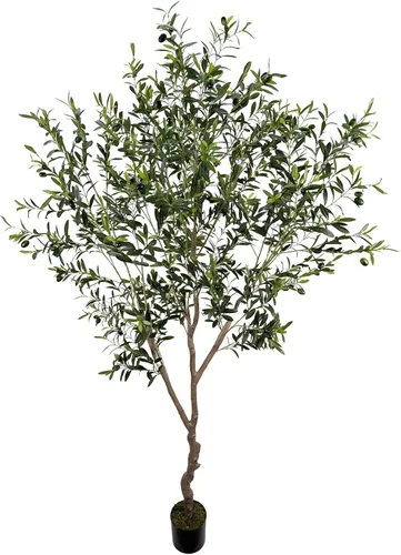 Árbol de Olivo Artificial de 7 pies (82 pulgadas, 2200+ Hojas con Protección UV) Alto, Árbol de Olivo Falso para Interiores, Árbol Artificial para