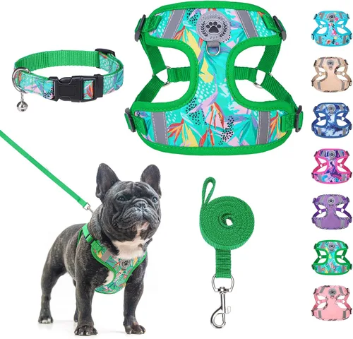 Miniatura 14 de BEAUTYZOO Step in - Juego de arnés para perro, collar y correa para perros pequeños, medianos y grandes, arnés para cachorro sin tirones, sin Beige