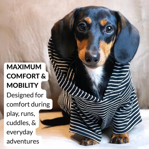 Miniatura 4 de DJANGO Sudadera con capucha para perro, cálido, ligero, suave y elástico para perro, con capucha, orificio para arnés y cintura elástica, sudadera