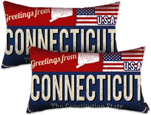Miniatura 10 de Juego de 2 fundas de almohada de Florida de 12 x 20 pulgadas, decoración de recuerdo de Florida, funda de almohada lumbar con diseño de bandera