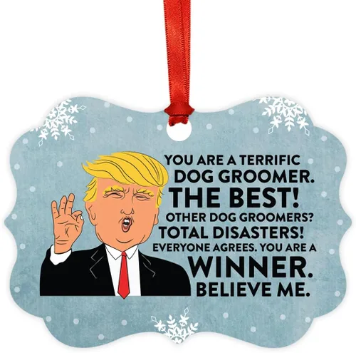 Miniatura 44 de Andaz Press Presidente Donald Trump Fancy Frame Recuerdo Adorno de Navidad Regalo de broma Ejecutivo de Cuenta, 1 paquete, Divertidas Ideas