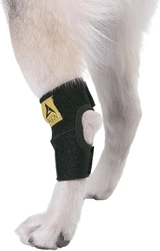 Miniatura 6 de Banda de compresión Agon para patas traseras de perros, con correas, para proteger de heridas, cura, evita lesiones y torceduras, ayuda