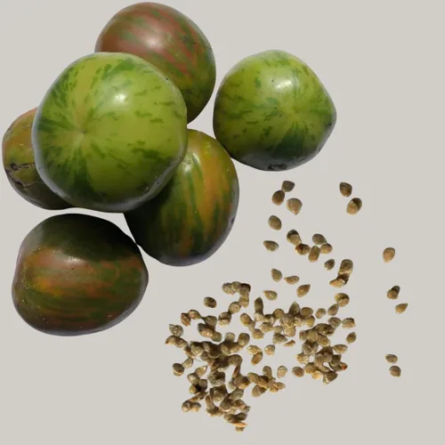Miniatura 5 de Dot's Little Yellow Tomate Seeds (Solanum lycopersicum) 150 Semillas (0.02 oz)