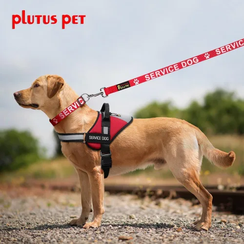 Miniatura 5 de Plutus Pet Correa para perro de servicio con mango acolchado de neopreno suave, impresa en letras grandes en ambos lados, 4 pies de largo, rojo, 5/8