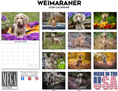 Miniatura 256 de Razas de Perros 2017 ESKIMO AMERICANO