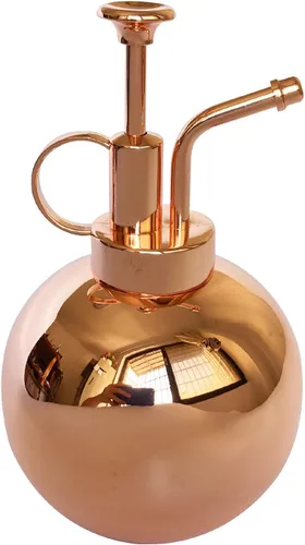 Pulverizador de plantas de acero inoxidable, botella de nebulización de plantas, herramientas modernas de jardinería para plantas en macetas de Oro