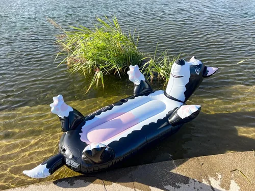 Miniatura 8 de Flotador inflable de verano para perros negros, para adolescentes, adultos y mascotas