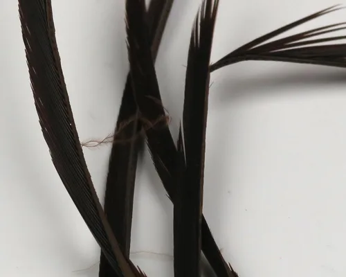 Miniatura 15 de Hareline Fly Tying Stripped Goose Biots – Natural Goose Biots for Fly Tying Nymph Bodies, Tails & Wings