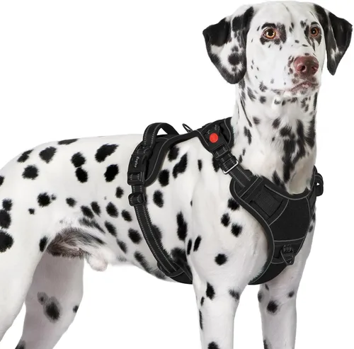 Miniatura 21 de Eagloo Arnés para perro de tamaño pequeño, fácil de llevar con 3 hebillas, arnés ajustable sin tirones para mascotas con sistema MOLLE, chaleco