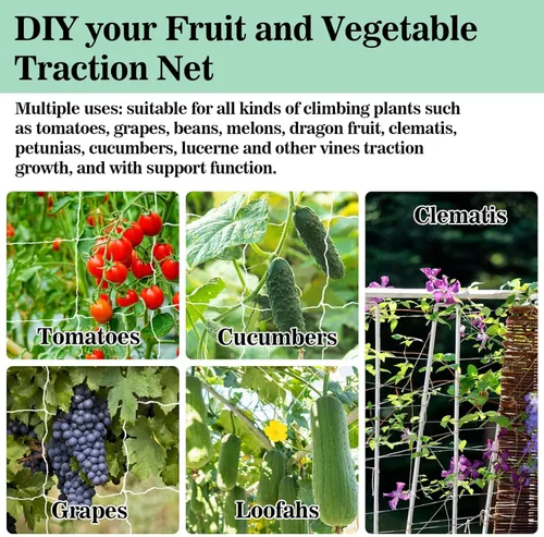Miniatura 7 de Sukh Red de enrejado para plantas de jardín, red de enrejado de poliéster, malla cuadrada de jardín para plantas trepadoras, frutas, verduras