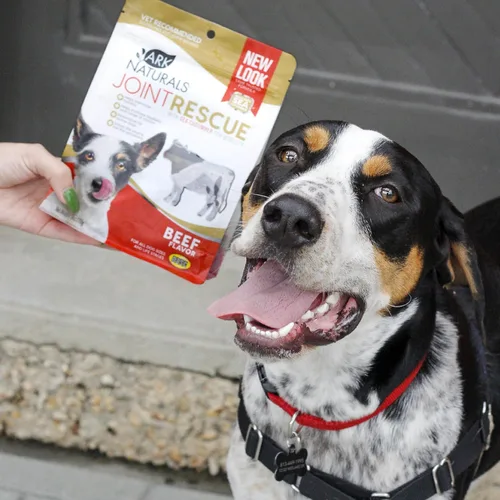 Miniatura 2 de Ark Naturals Joint Rescue Masticable para Perros, Sabor a Carne de Res, Suplemento para Articulaciones con Glucosamina y Condroitina, 1 Paquete