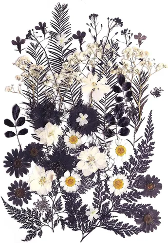 12 tipos 48 piezas flores secas prensadas reales para resina, herbario de plantas de hojas para fabricación de joyas artesanales (negro y blanco)