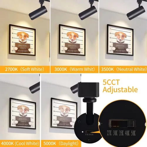 Miniatura 2 de Cabezales de iluminación LED de 5 colores para pista 12W regulables, grado de haz ajustable 15°/24°/36°/45°/60°, 2700K/3000K/3500K/4000K/5000K
