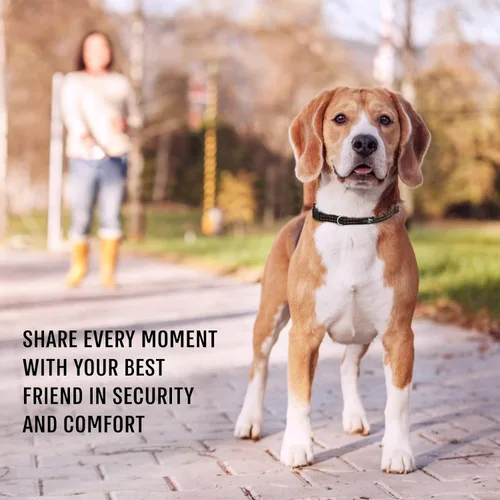 Miniatura 7 de Active Pets Collar de liberación rápida para perros pequeños y grandes, collar de seguridad ajustable con hebilla segura, comodidad transpirable
