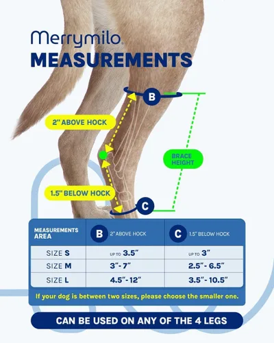 Miniatura 4 de Soporte para pierna de perro, Hock trasero y tobillo Sigle, envoltura de compresión para articulación de pierna trasera canina para desgarro ACL