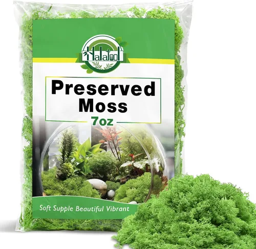 Miniatura 9 de Halatool Musgo de reno preservado para manualidades, musgo verde para terrarios, jardines de hadas, manualidades, decoración del hogar, ideal