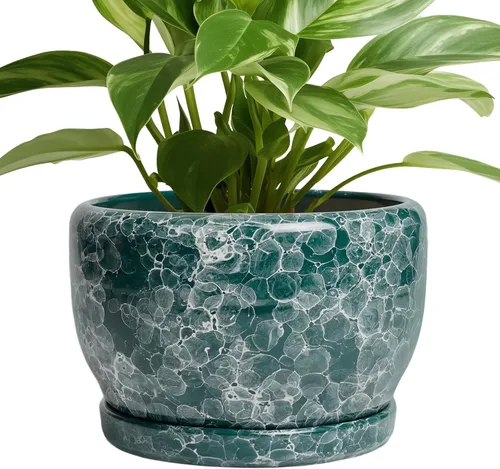 Miniatura 68 de SQOWL Macetas de cerámica – Maceta de 6 pulgadas con orificio de drenaje y bandeja, maceta redonda para plantas de interior, maceta decorativa