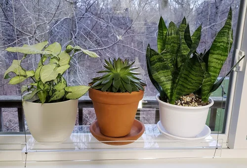 Miniatura 4 de Estantes colgantes de acrílico para ventanas (34 pulgadas de ancho, 2 estantes - 35 pulgadas de alto)