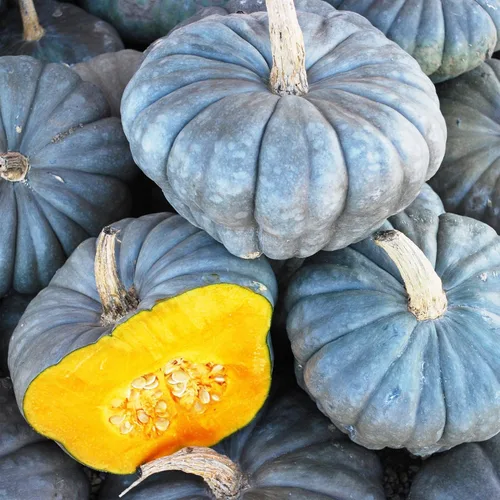 Más de 10 semillas de verduras de calabaza para plantar al aire libre reliquia sin OMG