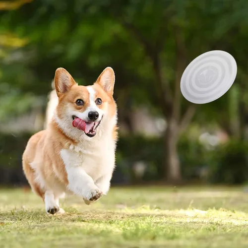 Miniatura 7 de SLSON - Tazones para perros con tapas, 2 paquetes de tazones plegables portátiles para mascotas con cubiertas, para gatos y perros, aptos para Negro
