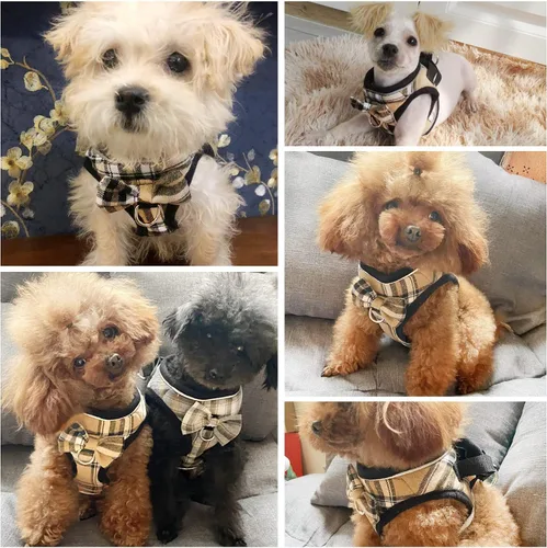 Miniatura 6 de Arnés de malla suave para perro, ajustable sin tirones, chaleco cómodo reflectante para mascotas para perros (caqui claro, XS)