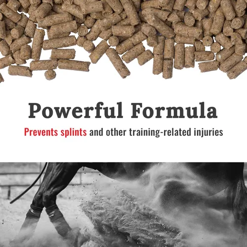 Miniatura 3 de Mojo Suplementos para caballos articulares, suplemento peletizado equino, suplemento natural para el cuidado de las articulaciones para caballos