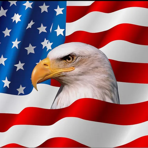 Miniatura 2 de CafePress Bald Eagle On American Flag Everyday Pillow Square Pillow, Decorative Accent Pillow Woven