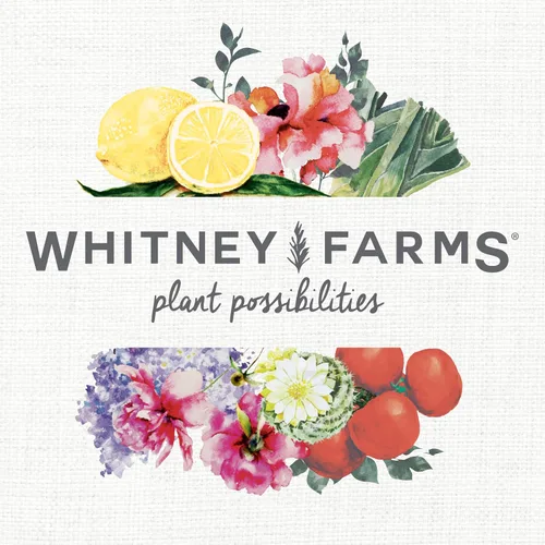 Miniatura 10 de Whitney Farms Suelo orgánico para macetas: mezcla natural para contenedores para interiores y exteriores, tierra orgánica para macetas