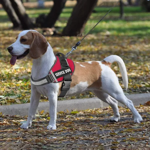 Miniatura 6 de JSXD - Arnés para perro, sin tirones, con asa ajustable, para exteriores, chaleco de nailon reflectante 3M, fácil control del perro, para perros Rojo