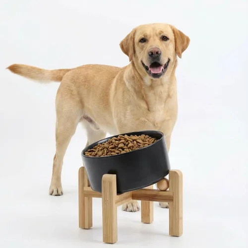Miniatura 7 de Petygooing Cuenco Elevado/Alzado de Cerámica Inclinado 15° para Perros de Razas Pequeñas y Medianas, Cuenco Inclinado Antideslizante para Verde óxido
