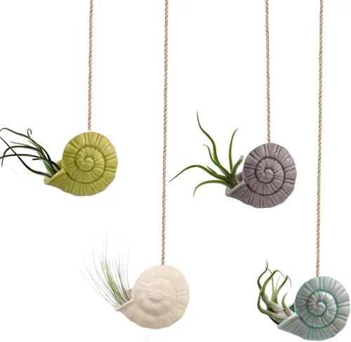 Miniatura 10 de Paquete de 4 soportes únicos para plantas de aire, lindo soporte de pared para plantas de aire de piña, soportes de cerámica Tillandsia para plantas