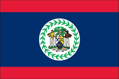 Miniatura 18 de Bandera de poliéster de Venezuela de 3 x 5 para interiores o exteriores, más de 200 banderas internacionales de 3 x 5 pies (35.4 x 59.1 in)